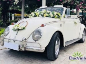Thuê xe cưới VolkWagen Beetle (Bọ Cổ ) màu trắng Thuê xe cưới VolkWagen Beetle (Bọ Cổ ) màu trắng